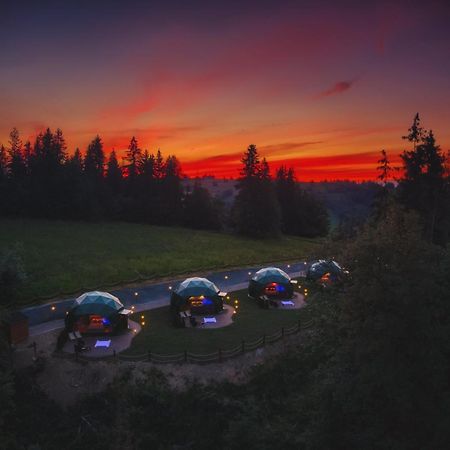 Peak Glamp & Jacuzzi Zakopane Exterior foto